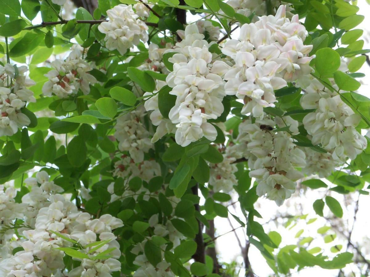 Noclegi Przy Szlaku Agroturystyka Zabnica ภายนอก รูปภาพ