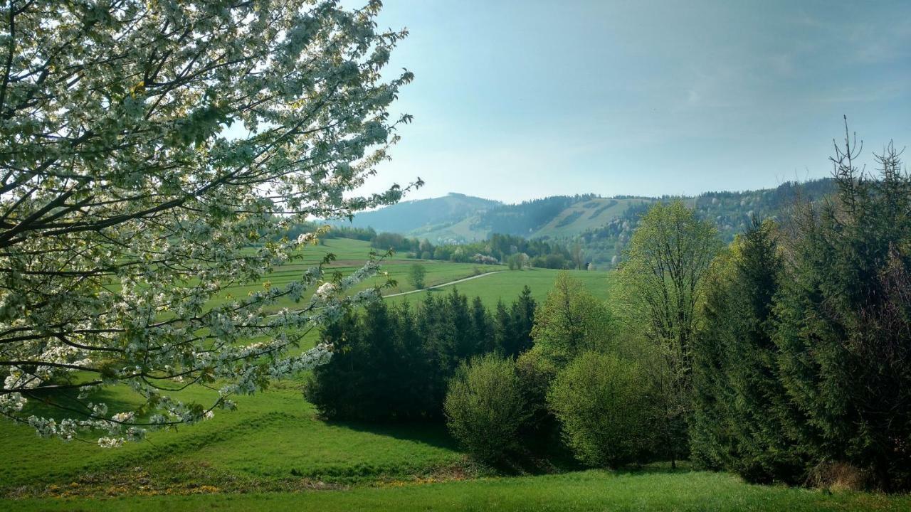 Noclegi Przy Szlaku Agroturystyka Zabnica ภายนอก รูปภาพ