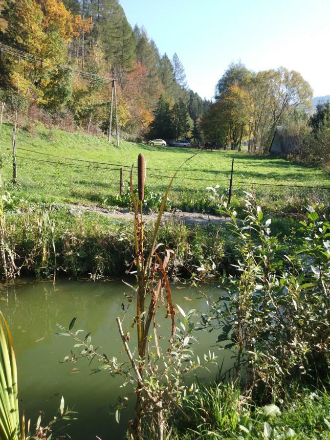 Noclegi Przy Szlaku Agroturystyka Zabnica ภายนอก รูปภาพ