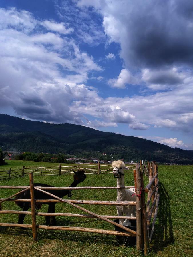 Noclegi Przy Szlaku Agroturystyka Zabnica ภายนอก รูปภาพ