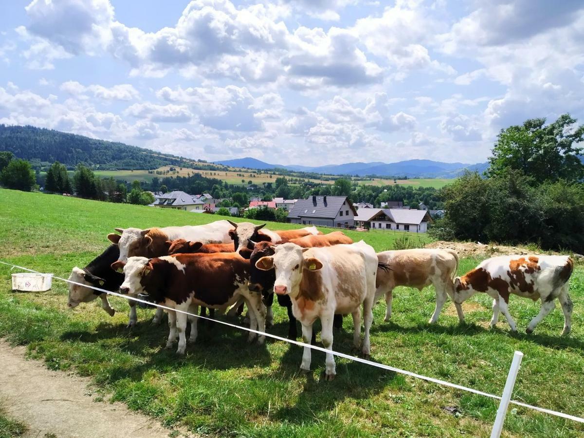 Noclegi Przy Szlaku Agroturystyka Zabnica ภายนอก รูปภาพ