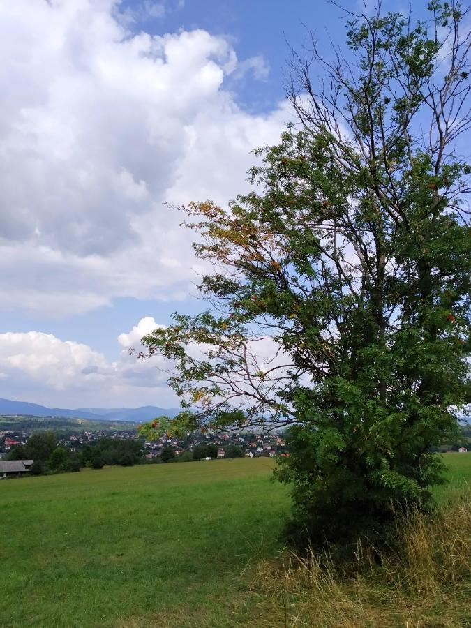 Noclegi Przy Szlaku Agroturystyka Zabnica ภายนอก รูปภาพ